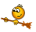 :besenreiten: