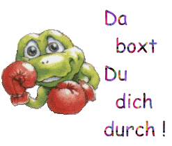 :da boxt du dich durch: