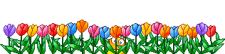 :blumenmeer: