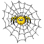 :spinneimnetz: